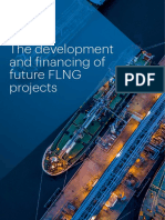 The Development and Financing of Future FLNG Projects