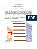 Investigación Dialéctica-Transdisciplinaria. Problematización - Manuel Salvador Saavedra Regalado