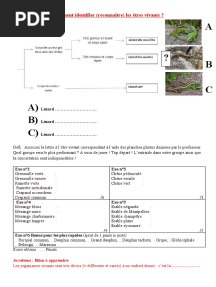 Comment Identifier (Reconnaître) Les Êtres Vivants ?: Exercice N°1