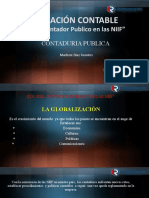 Rol Del Contador Publico en Las Niif.