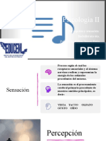 Sensación y Percepción