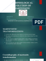 Morphological Evolution of Martensite