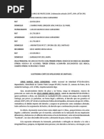 Modelo Recurso de Protección PDF