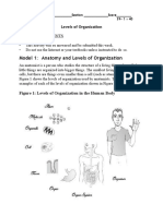 Model 1: Anatomy and Levels of Organization