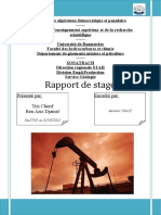 Rapport de Stage - Tizi&benaziz