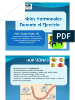 Cambios Hormonales Durante El Ejercicio