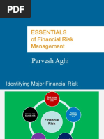 Financial Risk Management