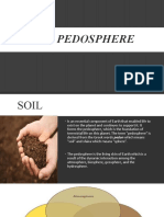 The Pedosphere