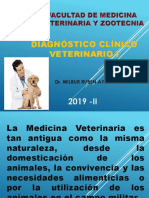 Diag Clini Vet 2019 PDF