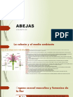 ABEJAS