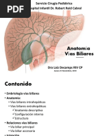 Anatomía de Vias Biliares