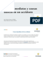 Causa Inmediatas y Causas Básicas en Un Accidente