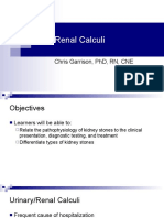 Renal Calculi: Chris Garrison, PHD, RN, Cne