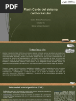 Flash Cards Sistema Vascular