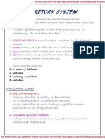 EXCRETORY SYSTEM HD Print 1