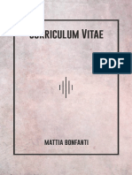 Curriculum Vitae: Mattia Bonfanti