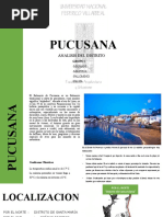 PUCUSANA