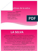 Diapositivas de La Selva