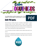 Ciclos Biogeoquimicos - AmyTorres PDF