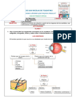 Los Sentidos PDF