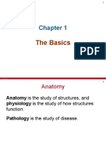 The Basics: © 2019 Mcgraw-Hill Education