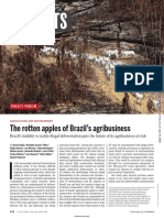 Insights: The Rotten Apples of Brazil's Agribusiness