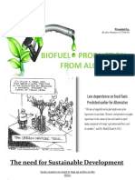 Algalbiofuelgrouppresentation 191030192132 PDF