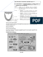 Guia de Ciencias Cuidado de Los Dientes