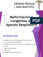 Malformaciones Congénitas Del Aparato Respiratorio