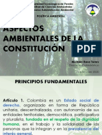 Aspectos Ambientales de La Constitución