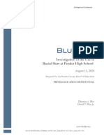 Blue LLP Final Report (Redacted)