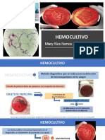 Hemocultivo