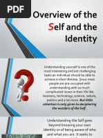 Overview of The Elf and The Identity