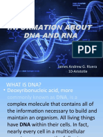 Aristotle Dna Rna Report