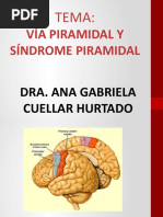 Via Piramidal y Sindrome Piramidal