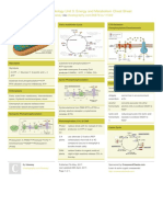 Unit 3 - Cheat Sheet Cell Enegertics PDF