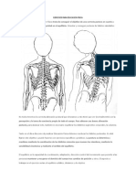 Ejercicios para Educacion Fisica