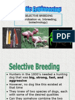 Selective Breeding (Hybridization vs. Inbreeding Biotechnology)