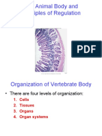 The Animal Body and Principles of Regulation