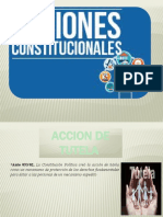 aCCIONES CONSTITUCIONALES