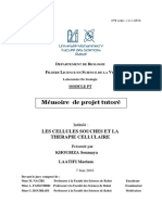 Sdic PL0001 PDF