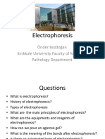 Electrophoresis: Önder Bozdoğan Kırıkkale University Faculty of Medicine Pathology Department