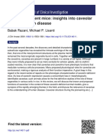 Caveolin-Deficient Mice: Insights Into Caveolar Function Human Disease