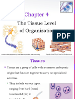 The Tissue Level of Organization: Lecture Slides Prepared by Curtis Defriez, Weber State University