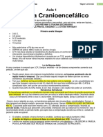 Aulas Teóricas Neurologia 2019 PDF