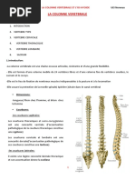 La Colonne Vertebrale Et L'os Hyoide