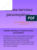 Sistema Nervioso Parasimpático