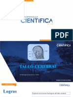 Tallo Cerebral