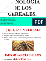 Tecnologia de Los Cereales