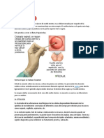 Prueba de Papanicolau o Citologia